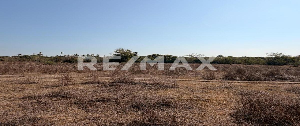 Foto de terreno habitacional en venta en sn , el tecomate pesquería, san marcos, guerrero, 0 No. 05