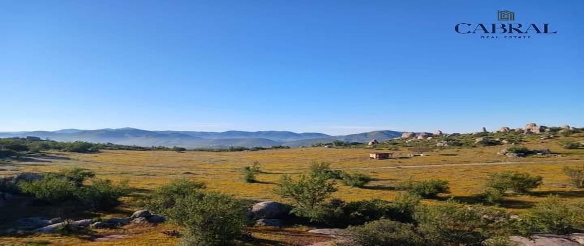 Foto de terreno habitacional en s/n , francisco zarco (valle de guadalupe), ensenada, baja california, 0 foto 03 Foto de terreno habitacional en venta en s/n , francisco zarco (valle de guadalupe), ensenada, baja california, 0 No. 03