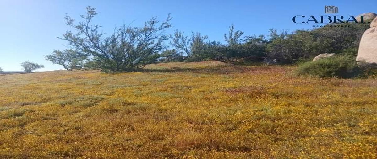 Foto de terreno habitacional en s/n , francisco zarco (valle de guadalupe), ensenada, baja california, 0 foto 04 Foto de terreno habitacional en venta en s/n , francisco zarco (valle de guadalupe), ensenada, baja california, 0 No. 04