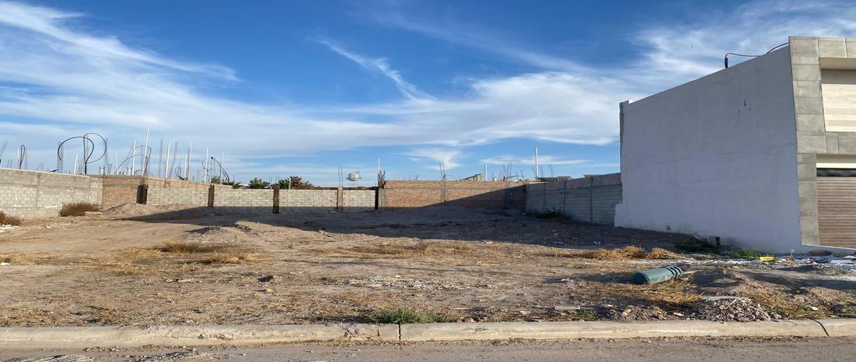 Foto de terreno habitacional en venta en s/n , hacienda del rosario, torreón, coahuila de zaragoza, 29046926 No. 03