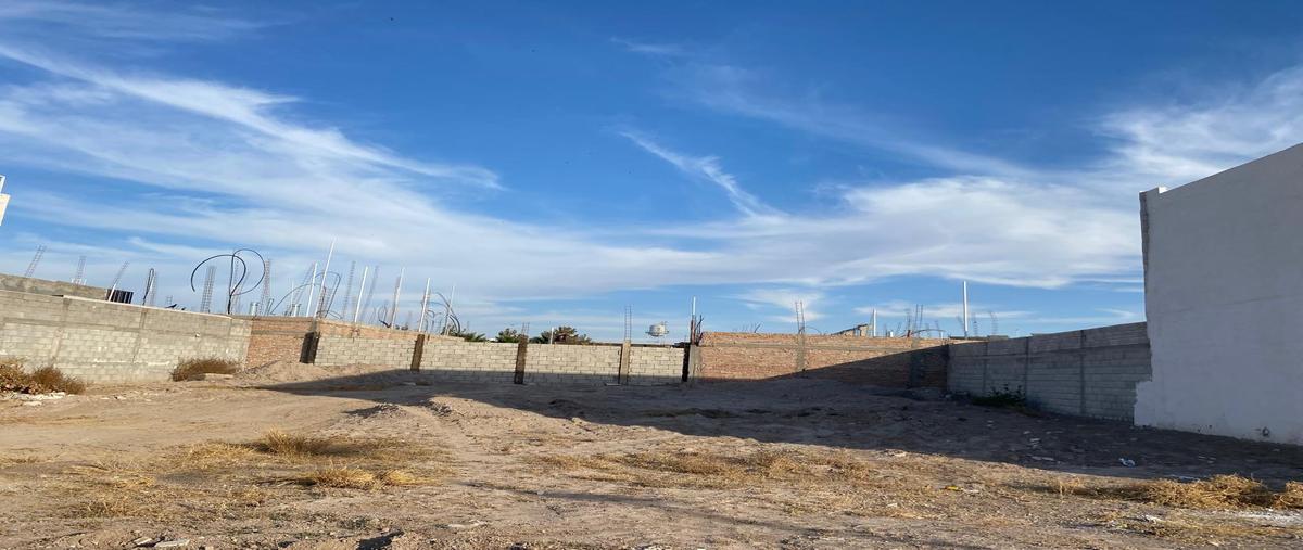 Foto de terreno habitacional en venta en s/n , hacienda del rosario, torreón, coahuila de zaragoza, 29046926 No. 04