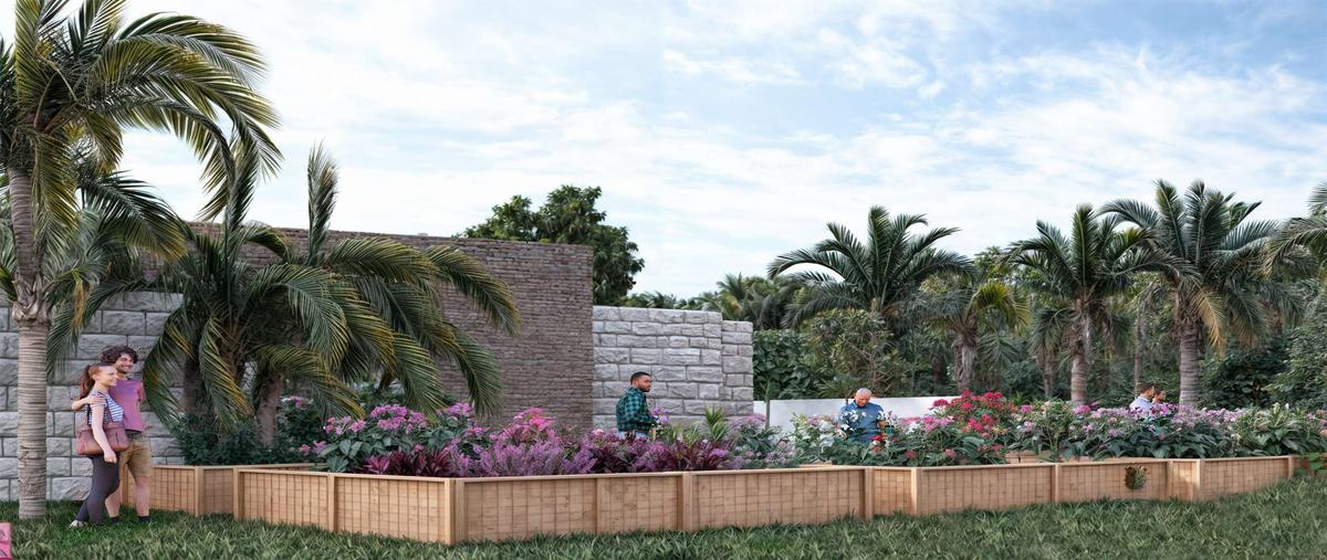 Foto de terreno habitacional en venta en s/n , higuera blanca, bahía de banderas, nayarit, 29860527 No. 08