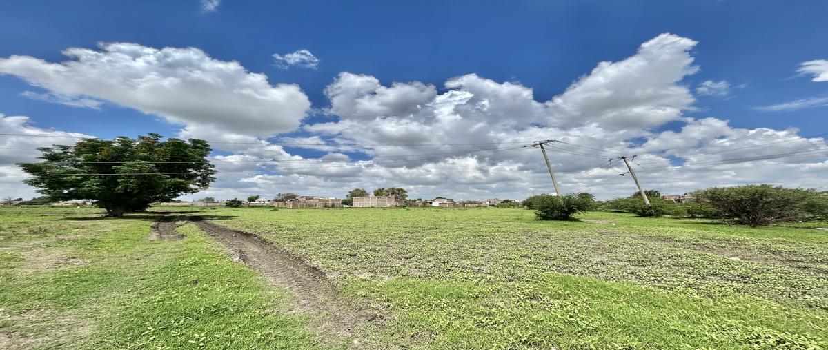 Foto de terreno habitacional en venta en sn , independencia, silao de la victoria, guanajuato, 0 No. 04