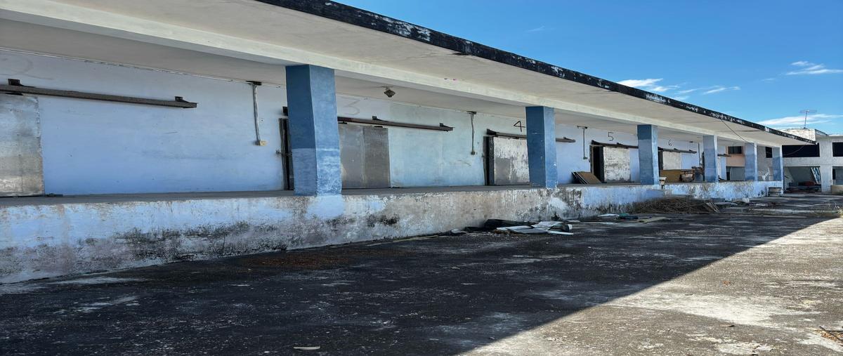 Foto de bodega en venta en sn , juan pablo ii, mérida, yucatán, 0 No. 05