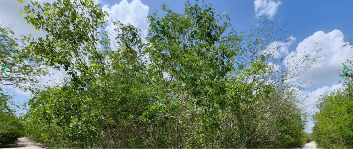 Foto de terreno habitacional en sn , kiktel, mérida, yucatán, 0 foto 02 Foto de terreno habitacional en venta en sn , kiktel, mérida, yucatán, 0 No. 02