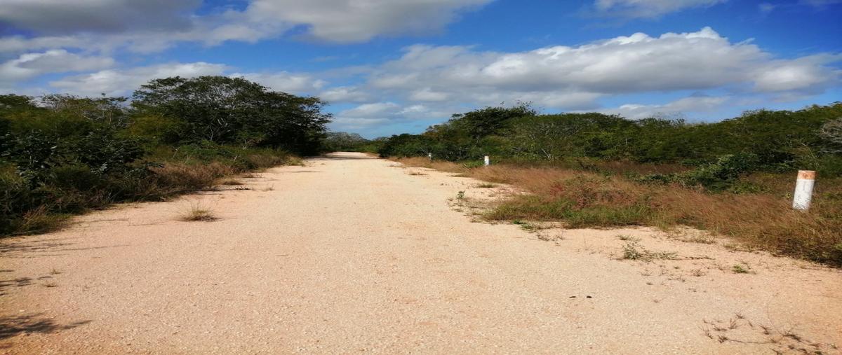 Foto de terreno habitacional en venta en sn , komchen, mérida, yucatán, 26626467 No. 03