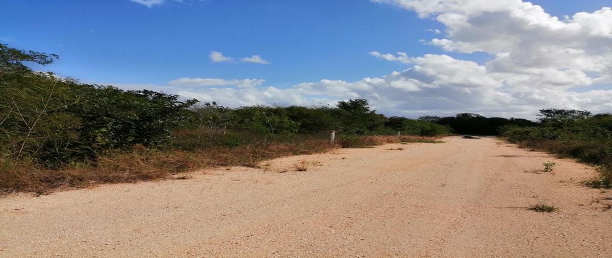 Foto de terreno habitacional en venta en sn , komchen, mérida, yucatán, 26626467 No. 04