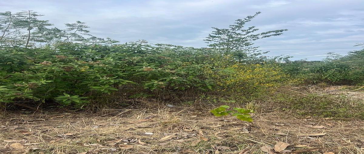 Foto de terreno habitacional en venta en s/n , komchen, mérida, yucatán, 0 No. 05