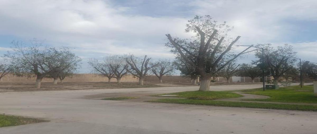 Foto de terreno habitacional en venta en s/n , la barranca, torreón, coahuila de zaragoza, 26023524 No. 06