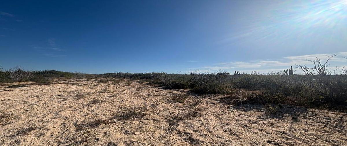 Foto de terreno habitacional en venta en sn , la cahchora, la paz, baja california sur, 0 No. 05