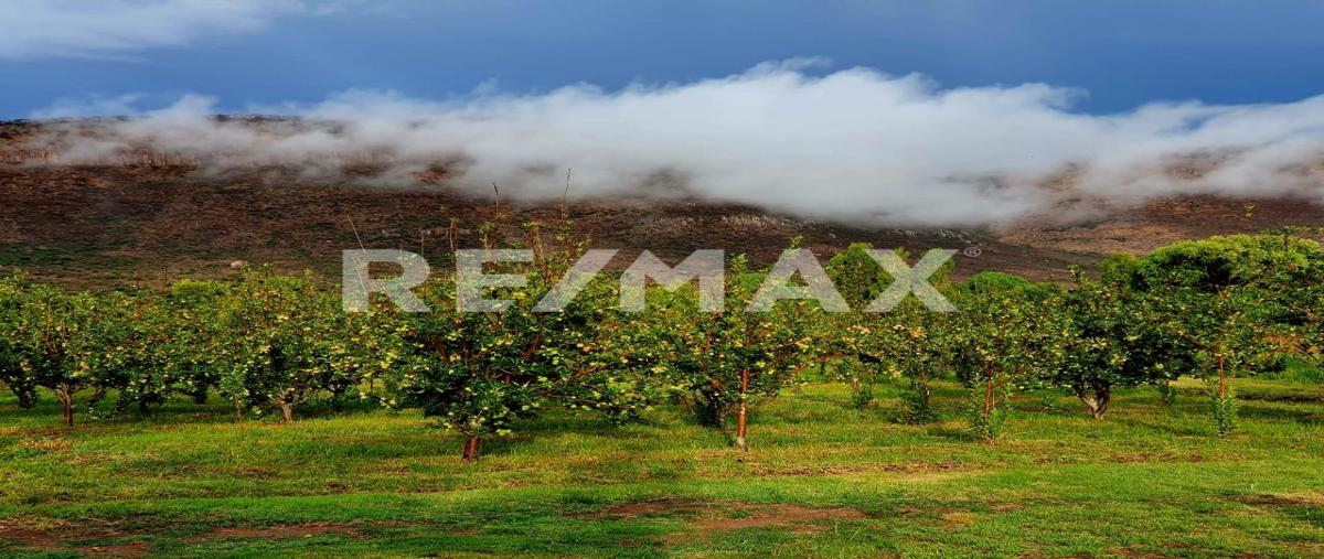 Foto de terreno comercial en venta en s/n , la cañada, canatlán, durango, 30951909 No. 04