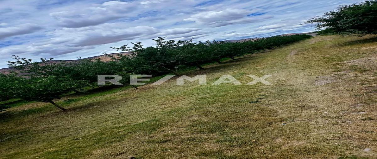 Foto de terreno comercial en venta en s/n , la cañada, canatlán, durango, 30951909 No. 05