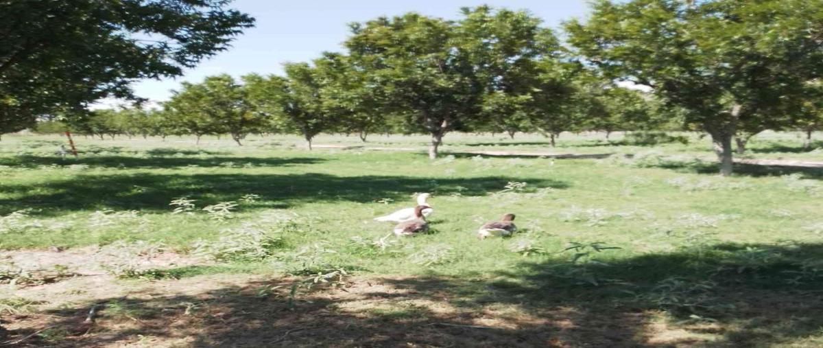Foto de rancho en s/n , la loma, lerdo, durango, 0 foto 04 Foto de rancho en venta en s/n , la loma, lerdo, durango, 0 No. 04