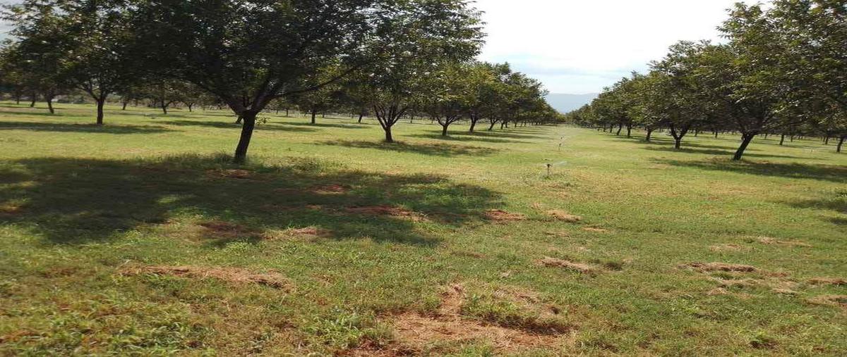 Foto de rancho en s/n , la loma, lerdo, durango, 0 foto 05 Foto de rancho en venta en s/n , la loma, lerdo, durango, 0 No. 05