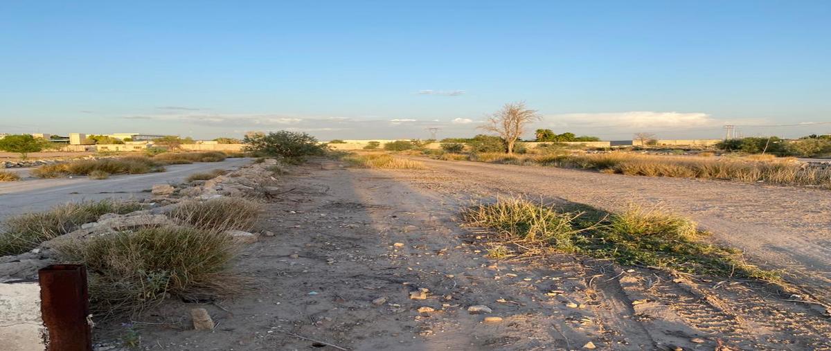 Foto de terreno comercial en venta en s/n , la mancha (albia sociedad), torreón, coahuila de zaragoza, 28375382 No. 04