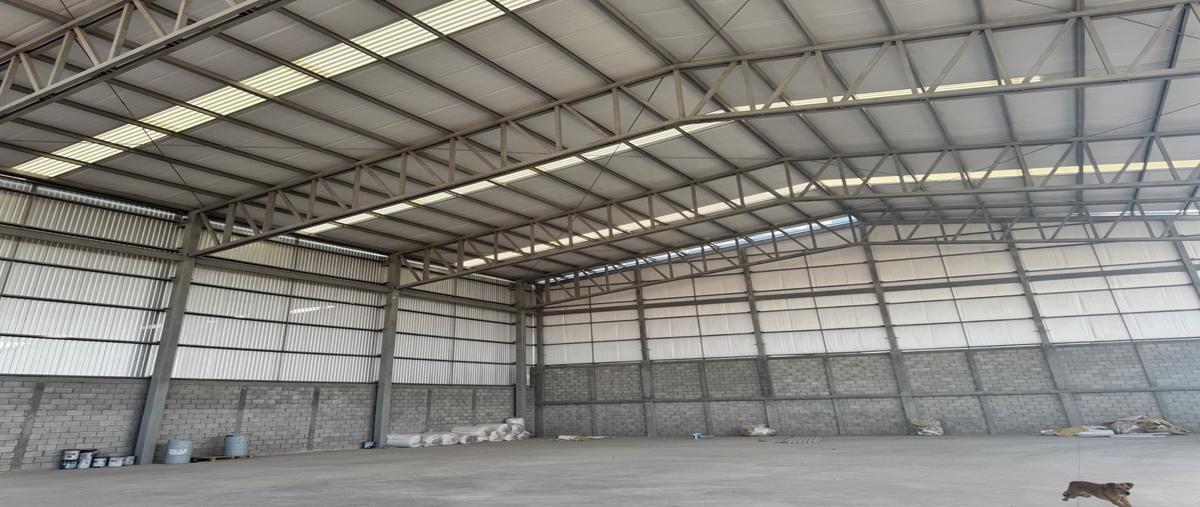 Foto de bodega en renta en s/n , la mancha (albia sociedad), torreón, coahuila de zaragoza, 30206858 No. 05
