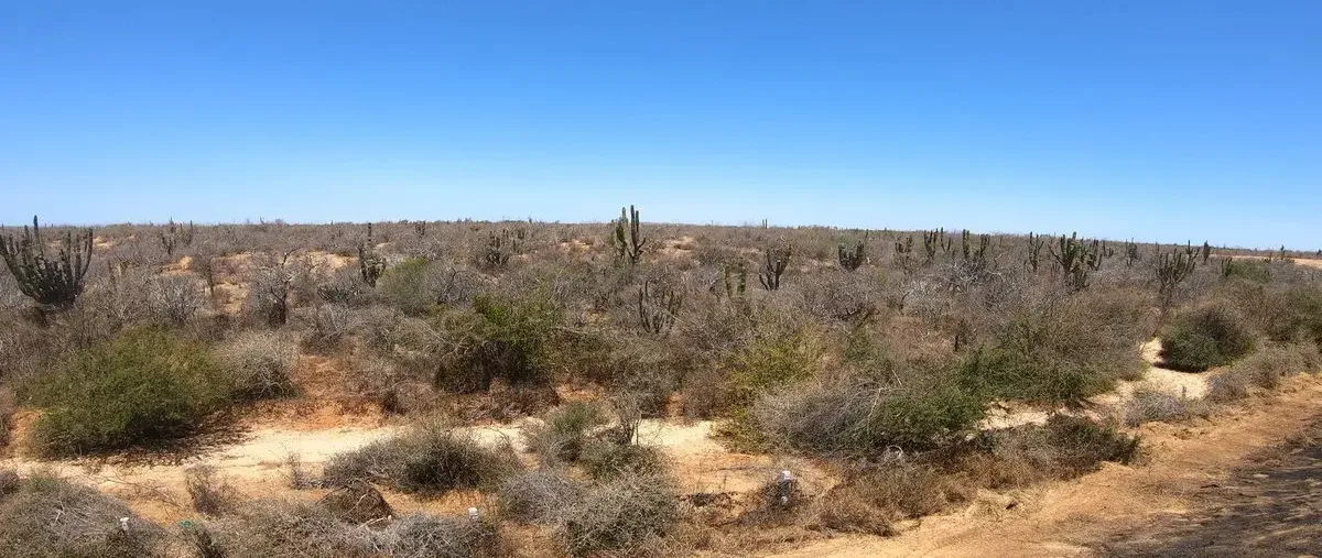 Foto de terreno habitacional en venta en sn , la matanza, la paz, baja california sur, 0 No. 04