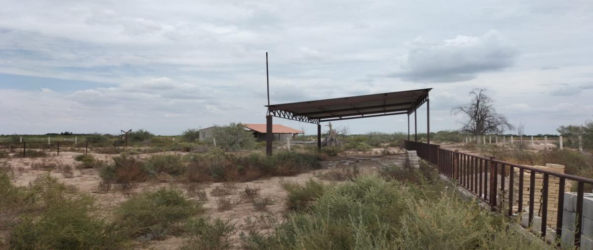 Foto de rancho en s/n , la tehua, gómez palacio, durango, 28533458 foto 05 Foto de rancho en venta en s/n , la tehua, gómez palacio, durango, 28533458 No. 05