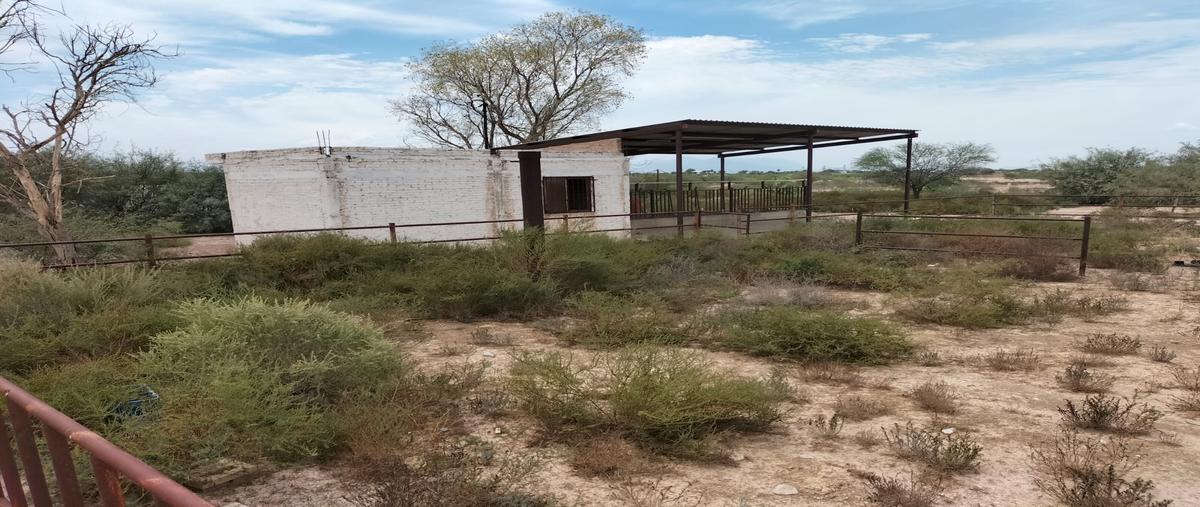 Foto de rancho en s/n , la tehua, gómez palacio, durango, 28533458 foto 15 Foto de rancho en venta en s/n , la tehua, gómez palacio, durango, 28533458 No. 15