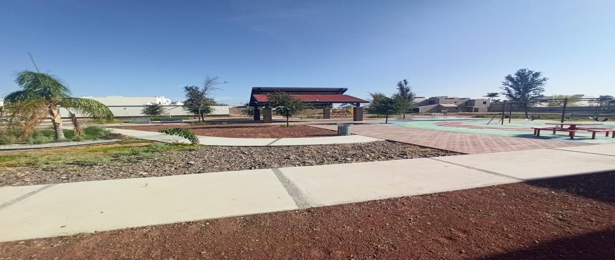 Foto de terreno habitacional en venta en s/n , las quintas, torreón, coahuila de zaragoza, 27065062 No. 10