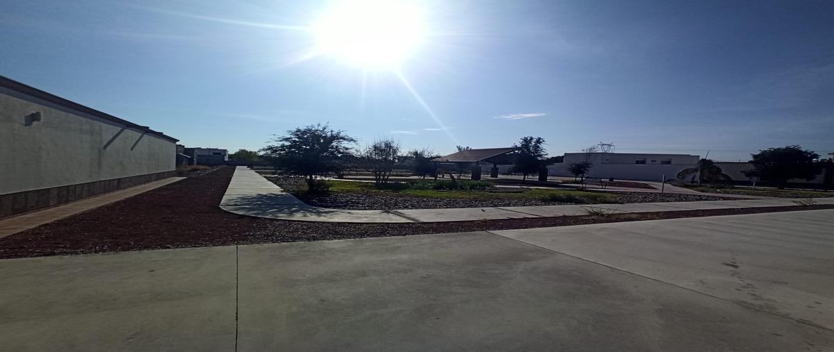 Foto de terreno habitacional en venta en s/n , las quintas, torreón, coahuila de zaragoza, 30256430 No. 07