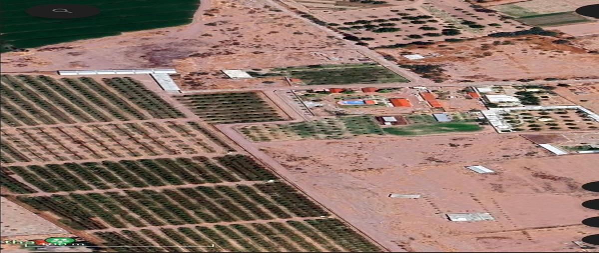 Foto de terreno comercial en venta en s/n , león guzmán, lerdo, durango, 29107732 No. 03