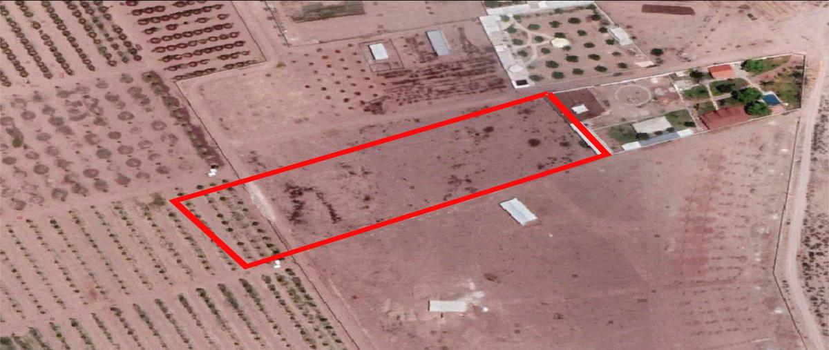 Foto de terreno comercial en venta en s/n , león guzmán, lerdo, durango, 29107732 No. 04