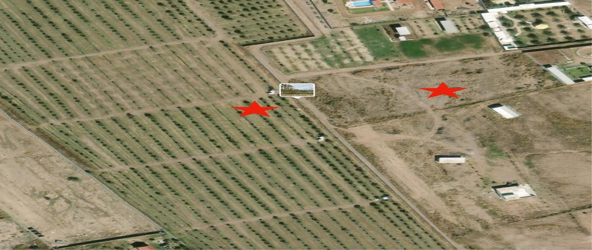 Foto de terreno comercial en venta en s/n , león guzmán, lerdo, durango, 29107732 No. 05