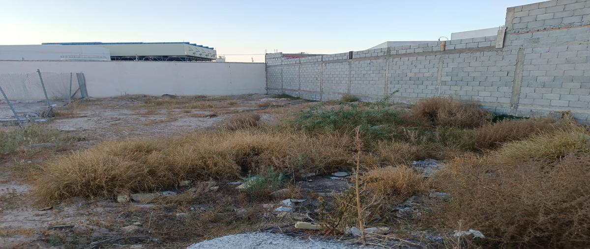 Foto de terreno habitacional en venta en s/n , los cedros, gómez palacio, durango, 28900426 No. 04