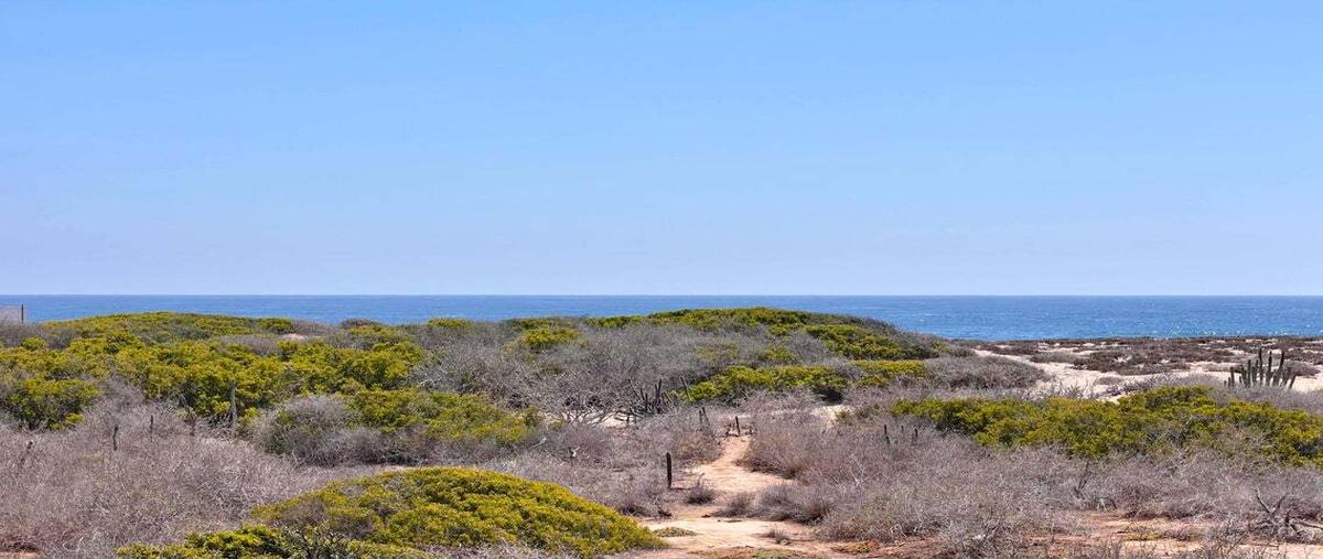 Foto de terreno habitacional en venta en s/n , los cerritos, la paz, baja california sur, 29904149 No. 05