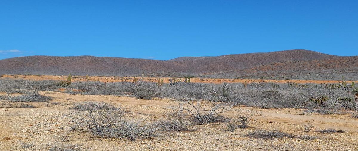 Foto de terreno habitacional en venta en s/n , los cerritos, la paz, baja california sur, 0 No. 03