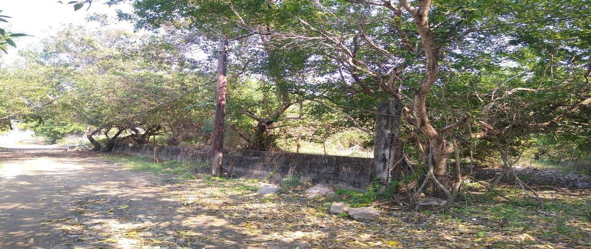 Foto de terreno habitacional en sn lote 11 cond. montaña entre el aeropuerto , parque ecológico de viveristas, acapulco de juárez, guerrero, 28535381 foto 02 Foto de terreno habitacional en venta en sn lote 11 cond. montaña entre el aeropuerto , parque ecológico de viveristas, acapulco de juárez, guerrero, 28535381 No. 02