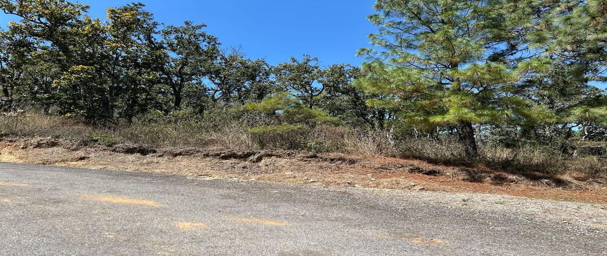 Foto de terreno habitacional en venta en sn lote 19, tapalpa, tapalpa, jalisco, 0 No. 03