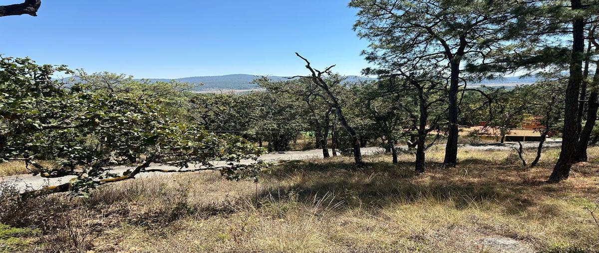 Foto de terreno habitacional en venta en sn lote 19, tapalpa, tapalpa, jalisco, 0 No. 04