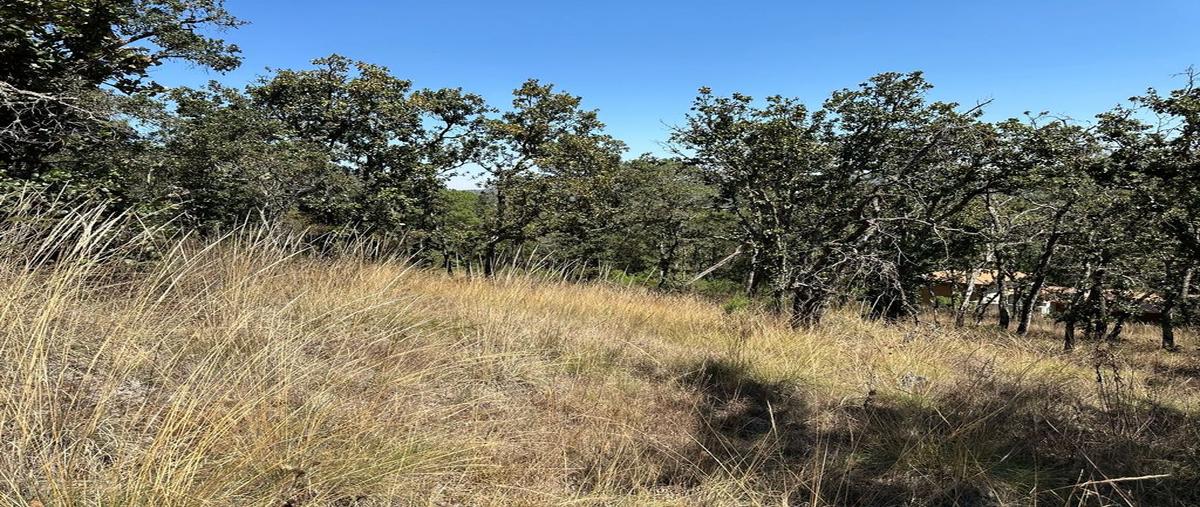 Foto de terreno habitacional en venta en sn lote 19, tapalpa, tapalpa, jalisco, 0 No. 05