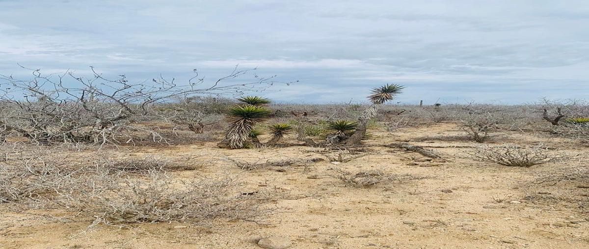 Foto de terreno habitacional en venta en s/n lote 7, agua blanca, la paz, baja california sur, 0 No. 03