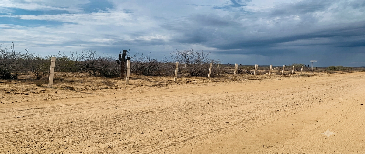 Foto de terreno habitacional en venta en s/n lote 7, agua blanca, la paz, baja california sur, 0 No. 04