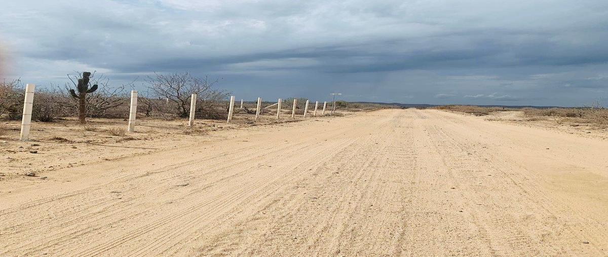 Foto de terreno habitacional en venta en s/n lote 7, agua blanca, la paz, baja california sur, 0 No. 05