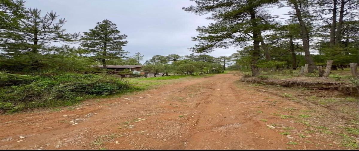 Foto de terreno habitacional en venta en s/n lote , juanacatlan, juanacatlán, jalisco, 0 No. 03