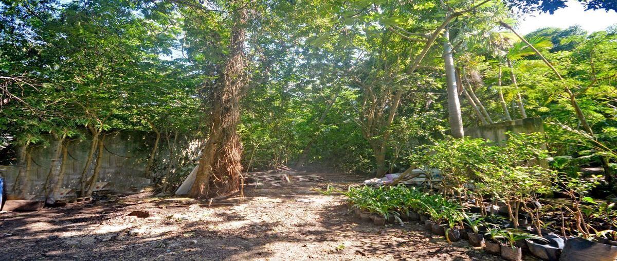 Foto de terreno habitacional en venta en sn manzana 311 l30 ejidal , ejidal, solidaridad, quintana roo, 25755190 No. 01