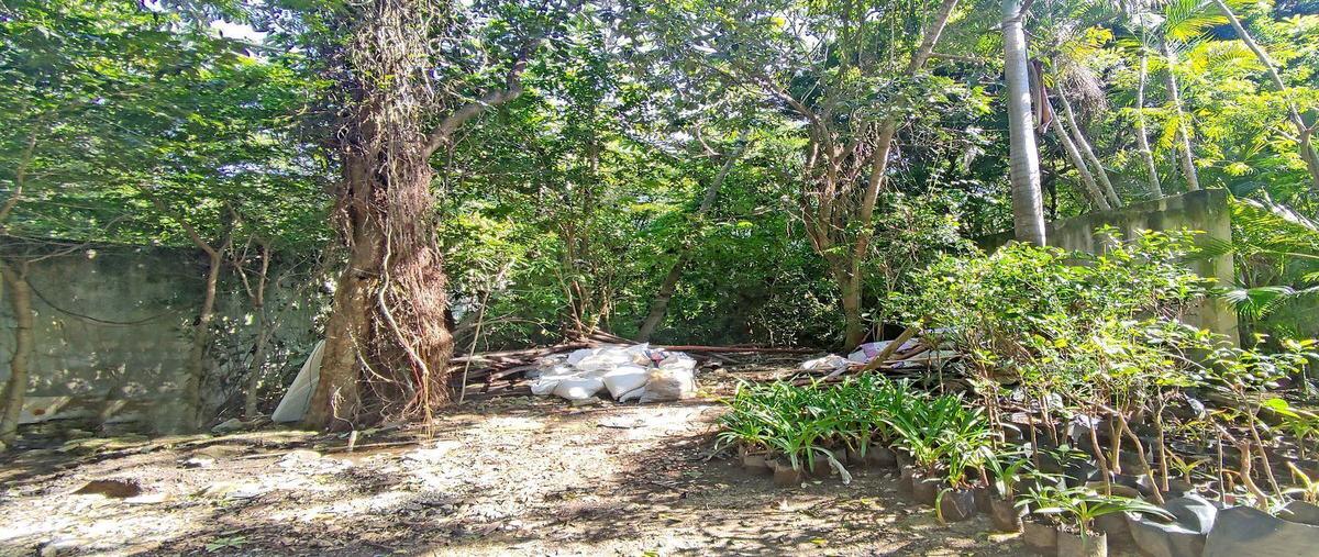 Foto de terreno habitacional en venta en sn manzana 311 l30 ejidal , ejidal, solidaridad, quintana roo, 25755190 No. 03