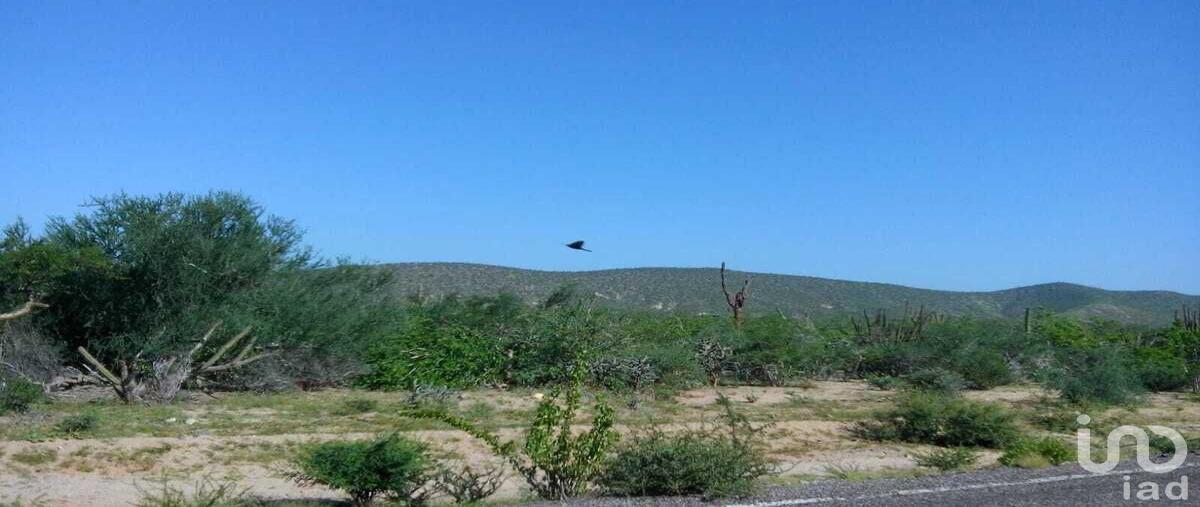 Foto de terreno habitacional en sn , melitón albáñez domínguez, la paz, baja california sur, 0 foto 03 Foto de terreno habitacional en venta en sn , melitón albáñez domínguez, la paz, baja california sur, 0 No. 03