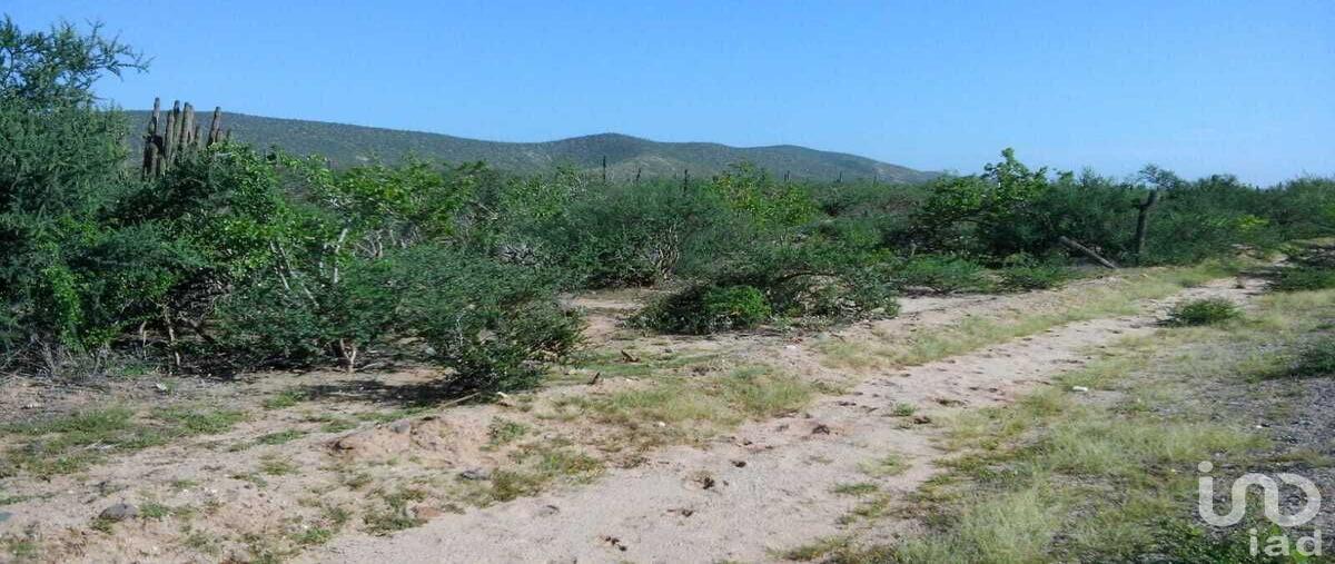 Foto de terreno habitacional en sn , melitón albáñez domínguez, la paz, baja california sur, 0 foto 04 Foto de terreno habitacional en venta en sn , melitón albáñez domínguez, la paz, baja california sur, 0 No. 04