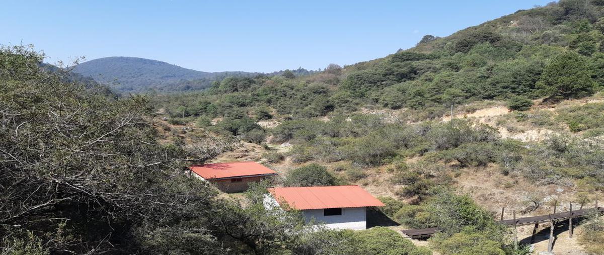 Foto de casa en venta en s/n , mineral del monte centro, mineral del monte, hidalgo, 24961794 No. 03