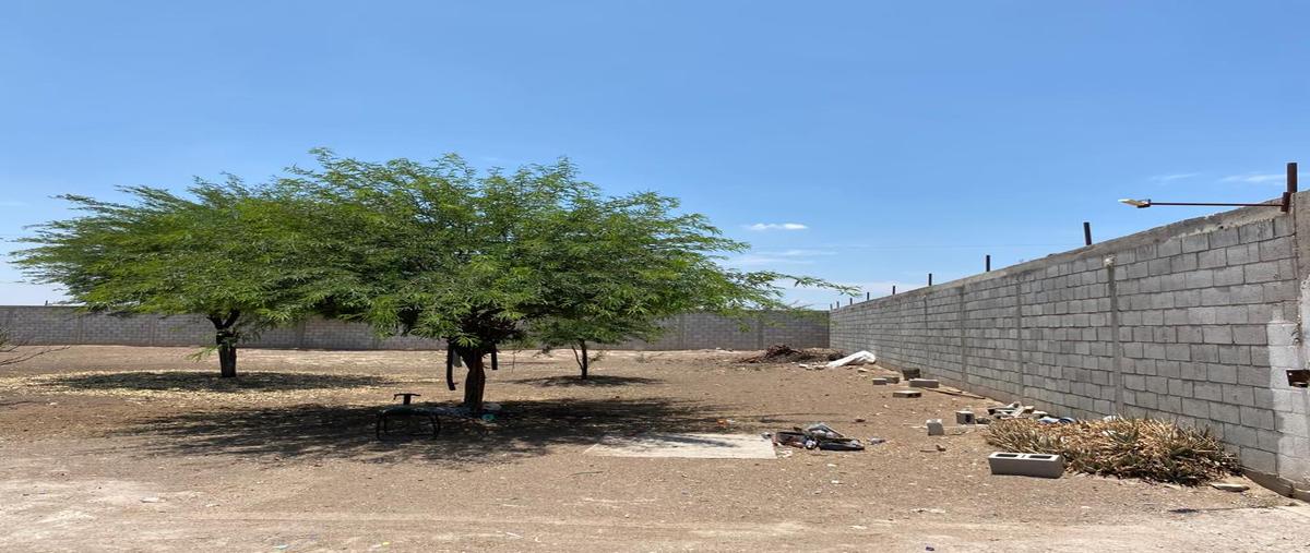 Foto de terreno comercial en venta en s/n , morelos dos (bilbao), matamoros, coahuila de zaragoza, 28364763 No. 03