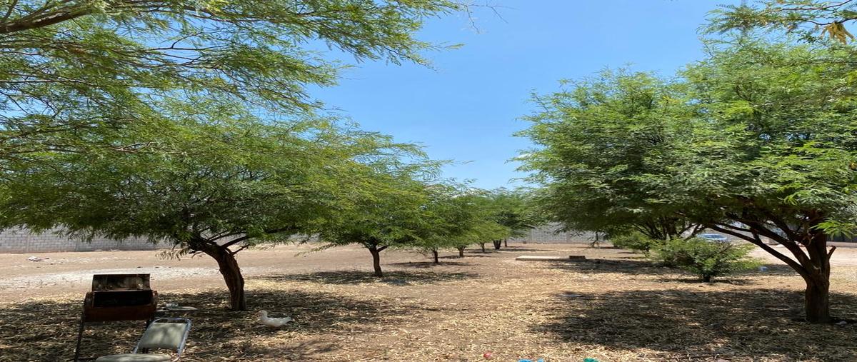 Foto de terreno comercial en venta en s/n , morelos dos (bilbao), matamoros, coahuila de zaragoza, 28364763 No. 05