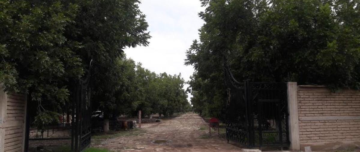 Foto de terreno habitacional en venta en s/n , nuevo gómez, gómez palacio, durango, 5953241 No. 01