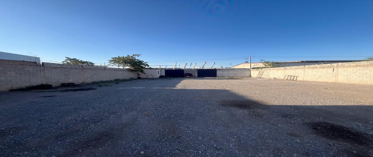 Foto de terreno comercial en renta en s/n , nueva laguna sur, torreón, coahuila de zaragoza, 0 No. 03