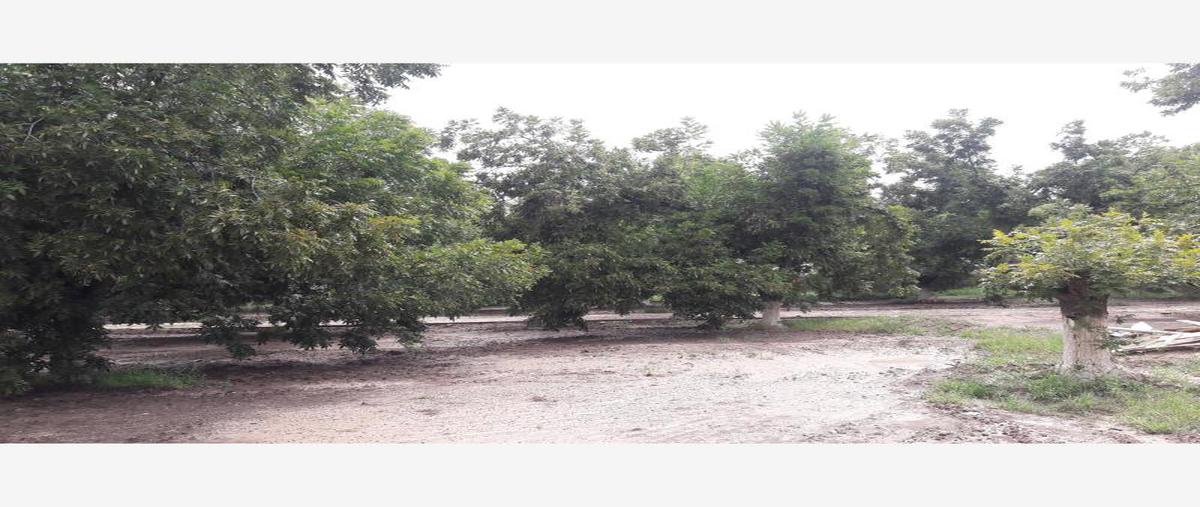 Foto de terreno habitacional en venta en s/n , nuevo gómez, gómez palacio, durango, 5951440 No. 02