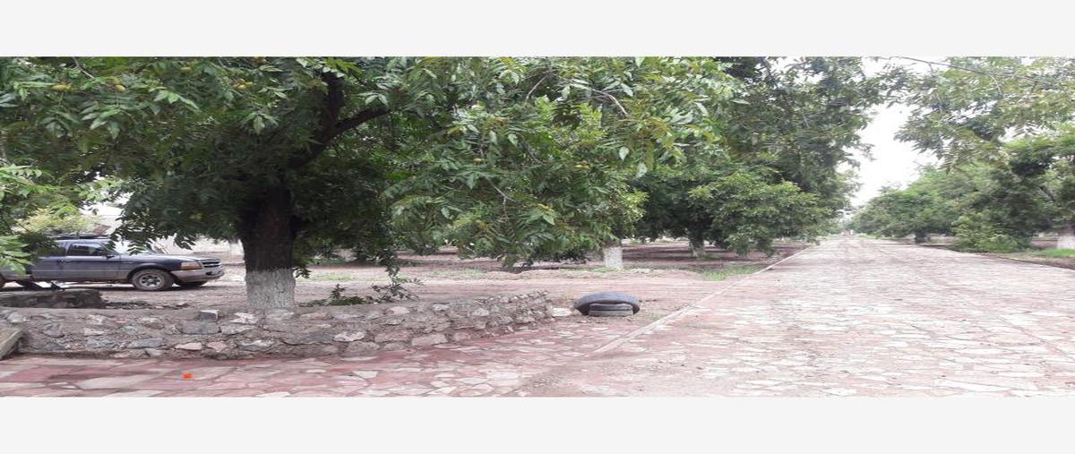 Foto de terreno habitacional en venta en s/n , nuevo gómez, gómez palacio, durango, 5952893 No. 01